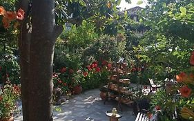 Stamatia'S Garden
